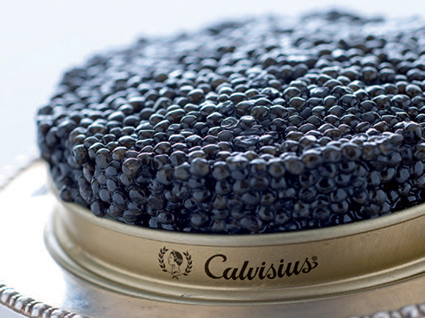 Agroittica Lombarda S.p.a. ed i prodotti CAVALIER Caviar Club CALVISIUS Caviar: lo STORIONE BIANCO